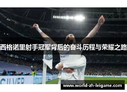 西格诺里射手冠军背后的奋斗历程与荣耀之路